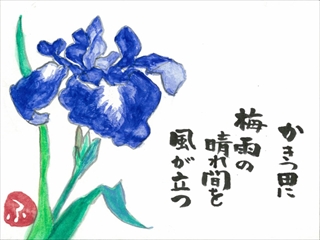 �痴�R�R�[�X�̃A���o��