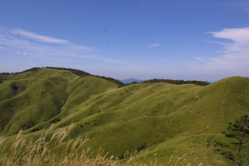 ���J�n�C�N